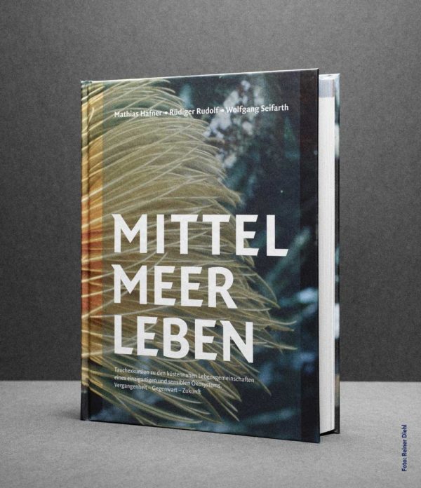 Eine Tauchexkursion zu den küstennahen Lebensgemeinschaften eines einzigartigen und sensiblen Ökosystems.