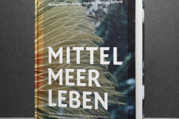 Tauchen im Mittelmeer