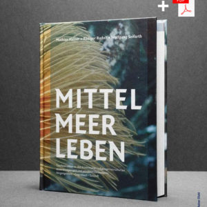 Buch plus eBook