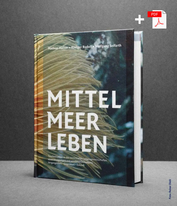 Buch plus eBook