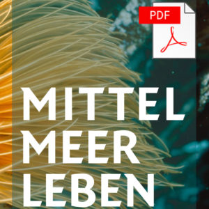 Mittelmeerleben
