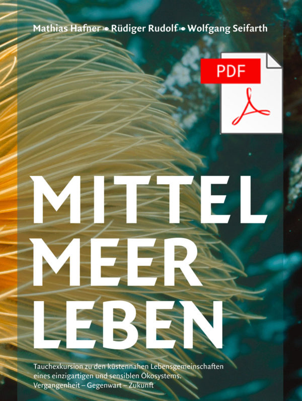 Mittelmeerleben